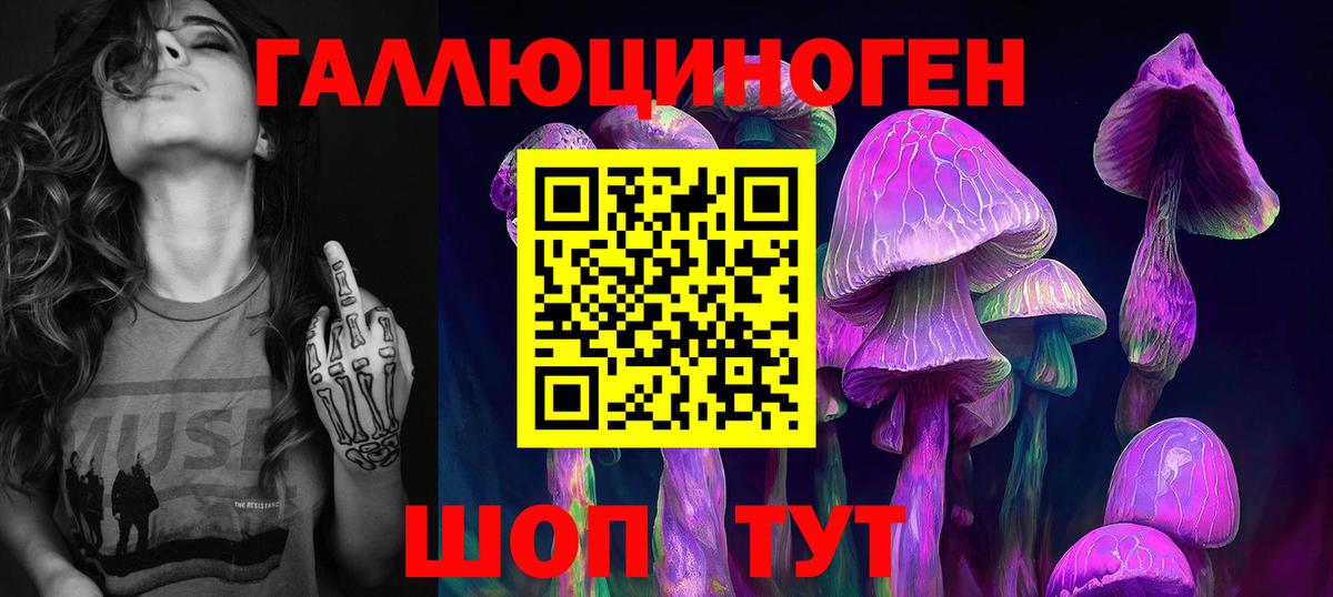 Галлюциногенные грибы Psilocybine cubensis  Вход с VPN  Котельники 